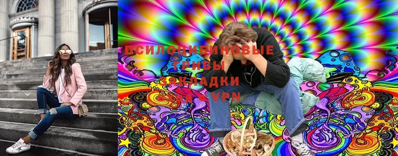 Псилоцибиновые грибы Cubensis  Бабушкин 